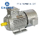 Frequency-Variable & Speed-Regulation Motor CE Certified AC Motor