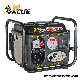 Power Value Small Portable 2 Stroke 24V Volt DC Generator for Battery Charge