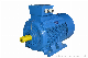 Ie2 Cast Iron Housing Three Phase Electrical Motor