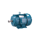 Ye3 Series for Air Compressor Made in China Three-Phase Asynchronous Motor