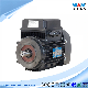  Variable Frequency Induction Motor Smart All-in-One Integrated with VFD Controller AC Motor Electric Motors