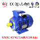  2hma Series Motor/Ie2 Eff1 High Efficiency Electric Motor with 2pole-11kw