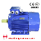  Cast Iron Housing Premium Efficiency Electrical Motor (280S-2-75kw)