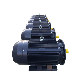 IEC Standard Three Phase Electric Motor AC Asynchronous Motor