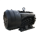  Three Phase Electric Motor with Cast Iron AC Induction Electrical Motor Manufacturer