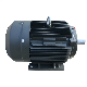 CE Premium Efficiency Electric Motor 30kw- 75kw Induction Electrical AC Motor