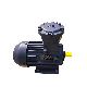 Factory Supply AC Induction Electric Motor 3 Phase Ex Motor