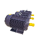 IEC Standard Electrical Motor Three Phase Asynchronous Induction Motor AC Electric Motor