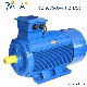 Heavy-Duty ANP GOST-Standard Three Phase Electric Motor for East-Europe Market