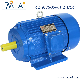 100% Copper 100% Output Power Three Phase Electrical Motor For Driving manufacturer