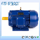 Ye2 Three Phase Water Pump Air Compressor AC Asynchronous Induction Electric Motor