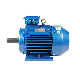 High-Efficiency 3-Phase Asynchronous Motor manufacturer