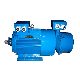 Three Phase Motor Slip Ring Motors IP44 or IP54 manufacturer