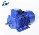  GOST Standard Big Size Three-Phase Motor