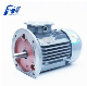 Y2 Series B5 Flange Three-Phase Motor