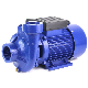 Dk Series 1.5kw 2HP High Quality Household Irrigation Centrifugal Water Pump