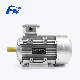 Aluminium Housing Ms Series Three Phase Asynchronous Industry Electric Motor B3 Mounting