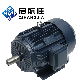  Ye3-80m1-2 Customized Frequency Ye2 Series Three Phase AC Electric Induction Motors 380V 415V 440V