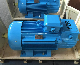 Yzr Yzre Series Crane and Metallurgical Wound Rotor Slip Ring Electric AC Motor