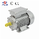 CE Certification Single-Phase Asynchronous Motor Fan Vacuum Pump Meat Grinder Motor