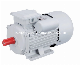 Yc Series Single Phase Induction Electric Motor (frame size from 71 to 132)