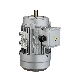 Ys Series Three-Phase Asynchronous Electric Motor, Aluminium Housing manufacturer