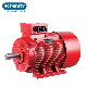  Excellent Quality High Pressure Fire Fighting Industrial Electric Motor