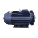 Three Phase Asynchronous Ie3 Electric Motor High Efficiency Electrical Motor Manufacturer