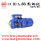  AC Motor/Three Phase Electro-Magnetic Brake Induction Motor with 18.5kw/8pole