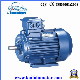 Y2 Series Three Phase Motor, Electric Motor, Low Rpm AC Electric Motor with Ce