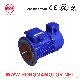  Three Phase Asynchronous Frequency Variable Induction Motor with Cast Iron Housing