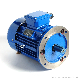 Aluminum Housing Electric Motor (4kw)