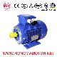 1hma-Ie1 (EFF2) Series Aluminum Housing Asynchronous Electric Motor with 8pole-2.2kw
