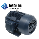  Y132m1-6 380V 400V AC 3 Three Phase Induction Electric Motor