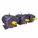 ISO9001& CCC Approved Ie3 Premium Efficiency Asynchronous Electric AC Motor
