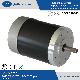  High Torque to 300W 12V Brush Permanent Magnet DC Gear Motor