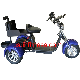  Promotion Hot Sale Luxury 2 Seater Electric Club Car Golf Carts Scooter Made in China 3 Fat Tires Electric Golf Scooter Electric Golf Car for Golf Club