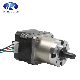 Factory NEMA 8, 11, 14, 16, 17, 23, 34, 43 Hybrid Stepper Gear Motor with Planetary Gearbox