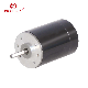 24V 15W 25W 40 Watt Customized Strengthen Shaft DC Motor manufacturer