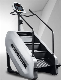  Professional Gym Cardio Equipment Step Mill/Stair Climber/Stepper/Stairmaster