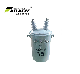 10kv 10kVA Single Phase Oil Distribution/Power Transformer manufacturer