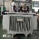  11kv 100kVA Distribution Transformer, Factory &Manufacturer 30years, Quick Shipping From China