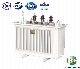  Oil Immersed Power Transformer S (B) H15