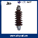  High Voltage Porcelain Long Rod Insulator