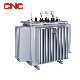  CNC Sbh15 Series 10kv Immersed Amorphous Alloy Core Distribution Transformer Level