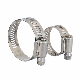  American Worm Gear Hose Clamps Zinc Hose Clip