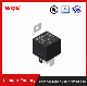  80A 14VDC 12VDC 24VDC 4pin 5pin Types of Automotive Relay with Metal Holder Wlvf5 Free Sample