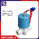 Meishuo Fpd180r10 1/4" 12V 24V Electric Plastic Inlet Point Solenoid Valve for Water Purifier 220 Volt