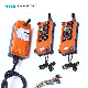 Factory Price 2 Transmitter and 1 Receiver AC DC 12V 24V 36V 48V 110V 220V 380V 440V Wireless Remote Control