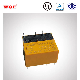  Wl4078 Dry Reed Relays 2A 2c Contract Form Small Size Suit for Automation System Factory Price